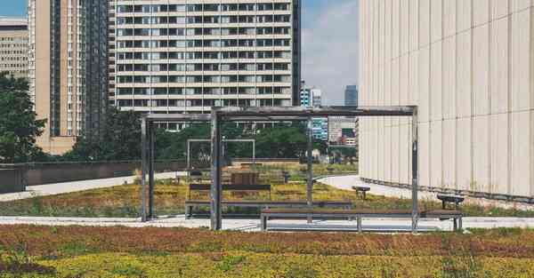 台湾网络节点